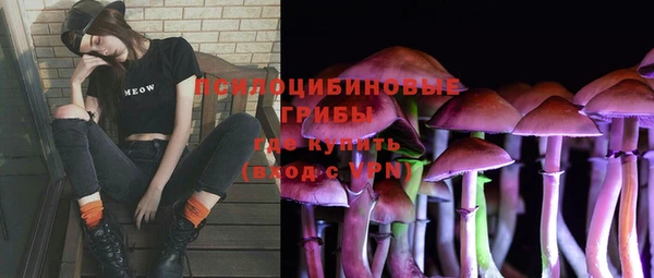 альфа пвп Инта