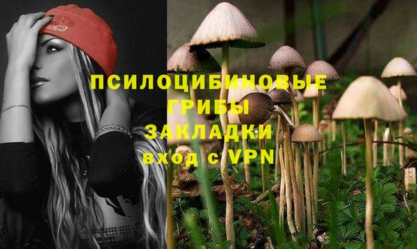 герыч Инсар