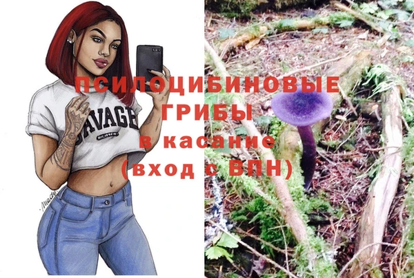 альфа пвп Инта