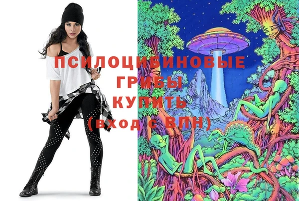 альфа пвп Инта
