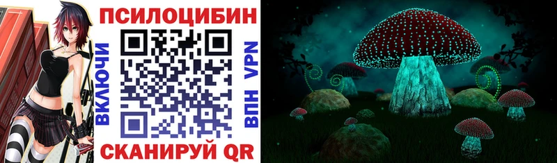 Галлюциногенные грибы мухоморы где купить наркоту Артём